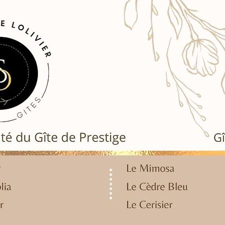 La Salamandre De L Olivier - Le Palmier Aubignosc Zewnętrze zdjęcie
